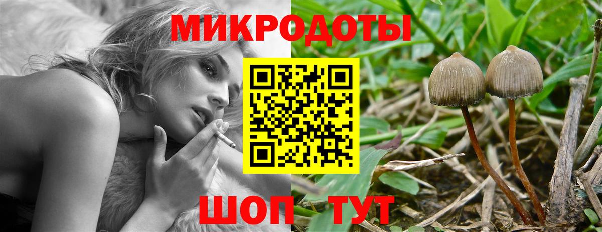 Галлюциногенные грибы Magic Shrooms Новокубанск
